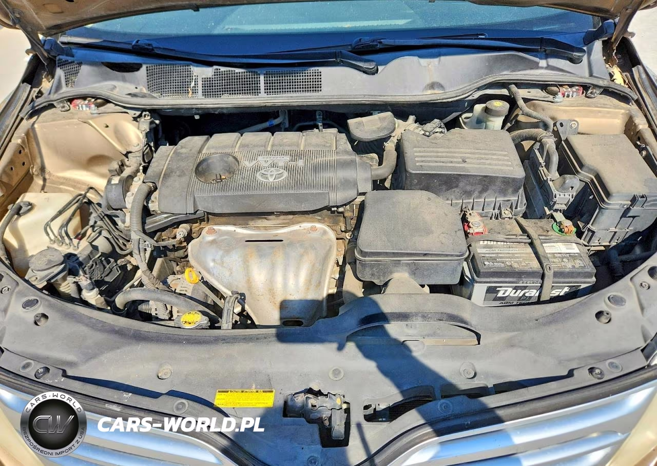 2009 Toyota Venza Fwd 4Cyl VIN:4T3ZE11A89U009690 - 12