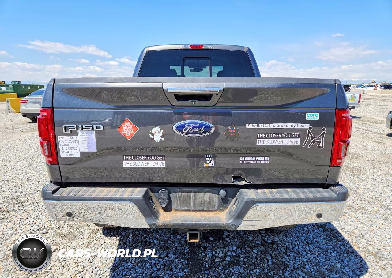 2015 Ford F150 Supercrew VIN:1FTFW1EG9FFA32455 - 6