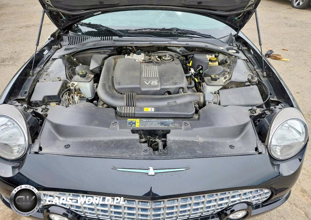 2002 Ford Thunderbird VIN:1FAHP60A22Y114800 - 11