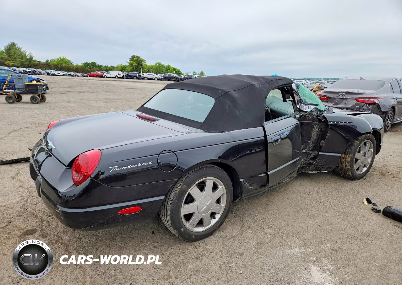 2002 Ford Thunderbird VIN:1FAHP60A22Y114800 - 3
