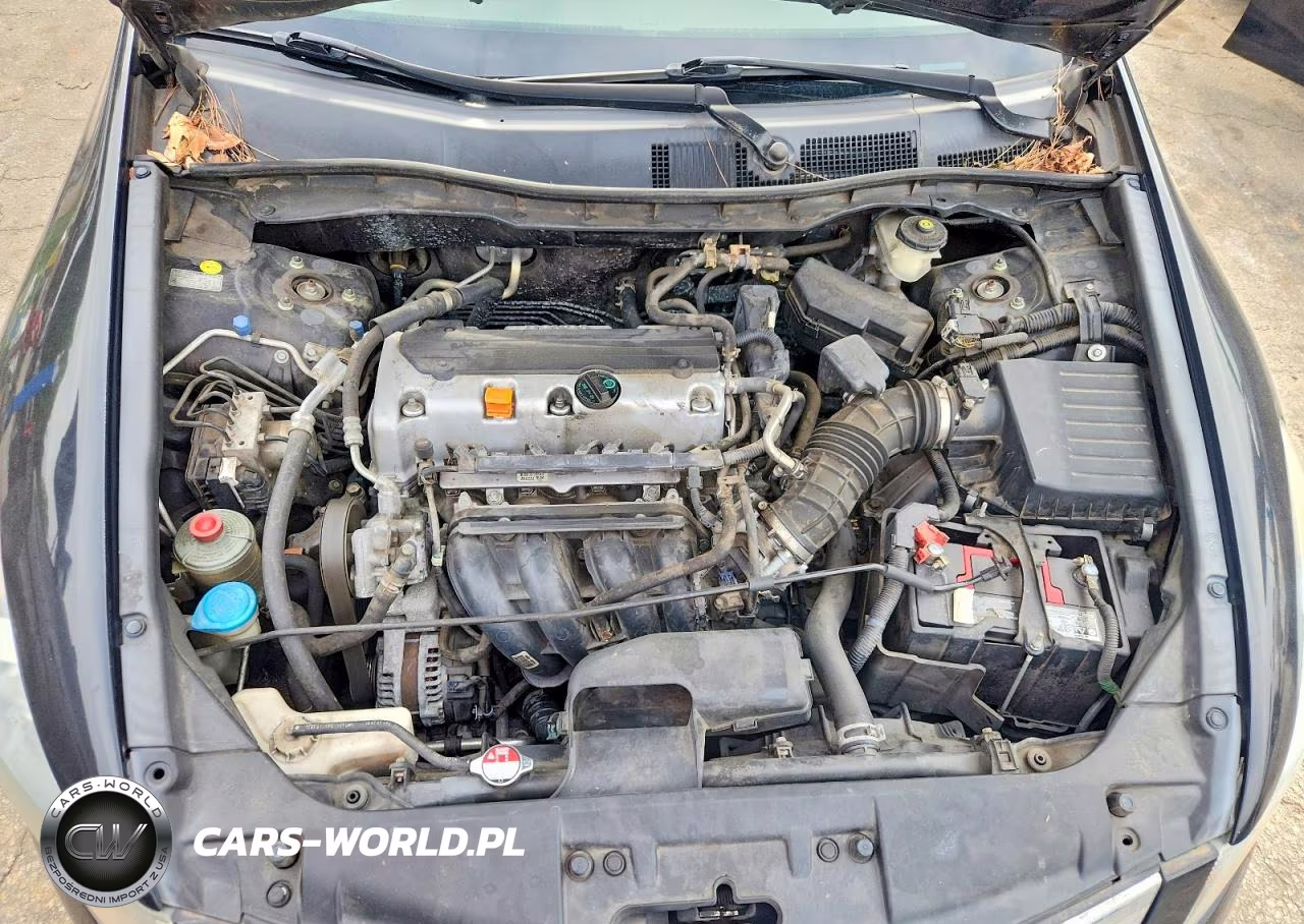2009 Honda Accord Lxp VIN:1HGCP264X9A064036 - 11