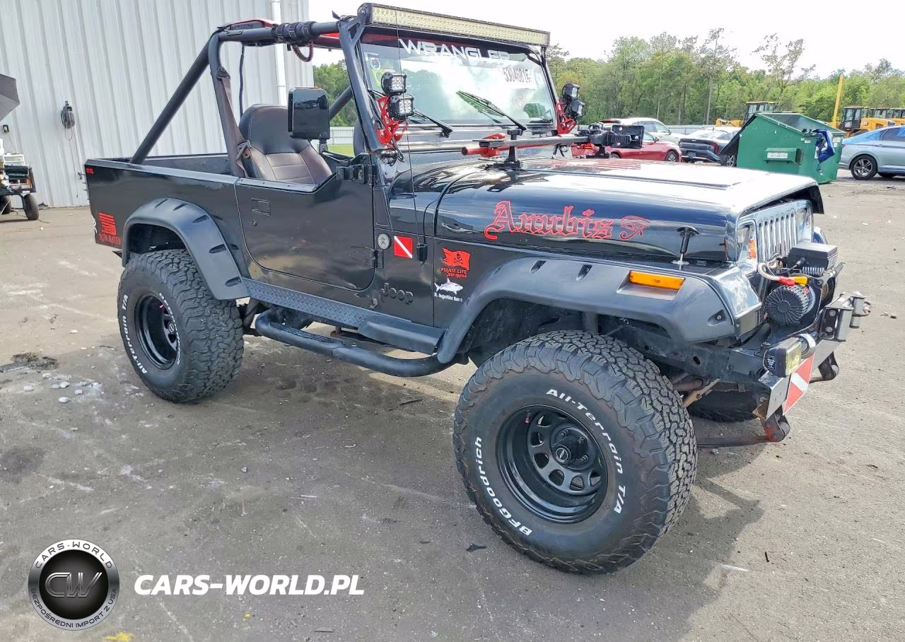 1993 Jeep Wrangler - Yj VIN:1J4FY29S2PP249379 - 4