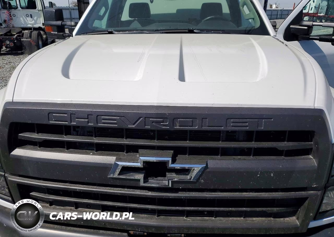 2020 Gm Gm515 Box Truck VIN:1HTKHPVK4LH319818 - 12