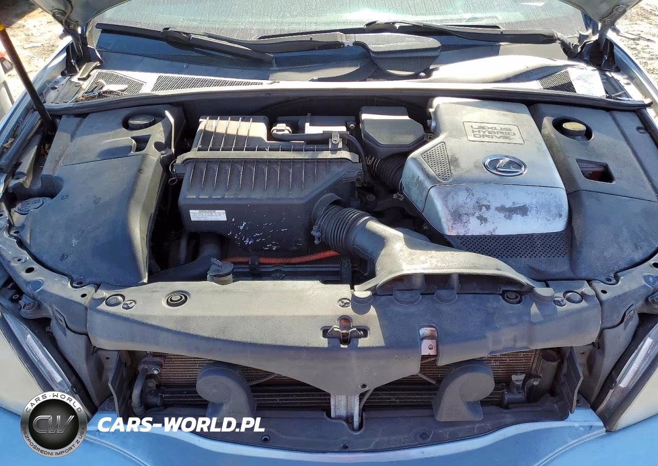 2008 Lexus Rx 400H VIN:JTJGW31U482007112 - 12