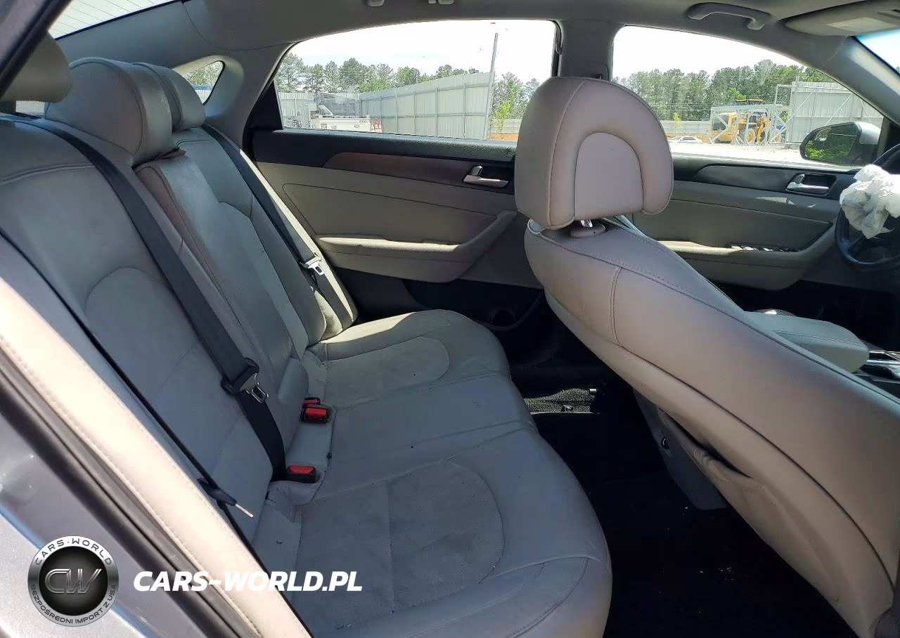 2017 Hyundai Sonata Sport VIN:5NPE34AF1HH441299 - 10