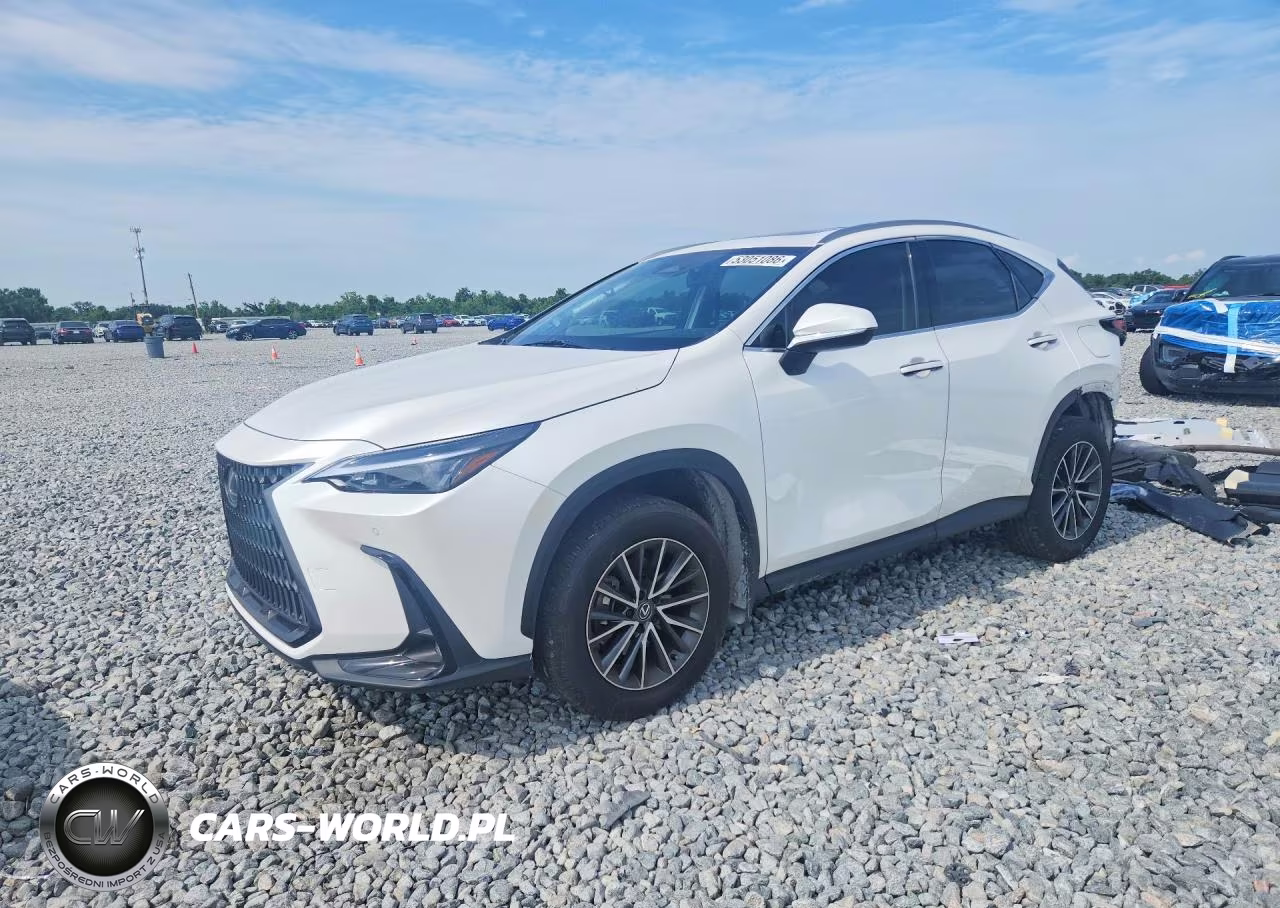 2024 Lexus Nx 250 Premium