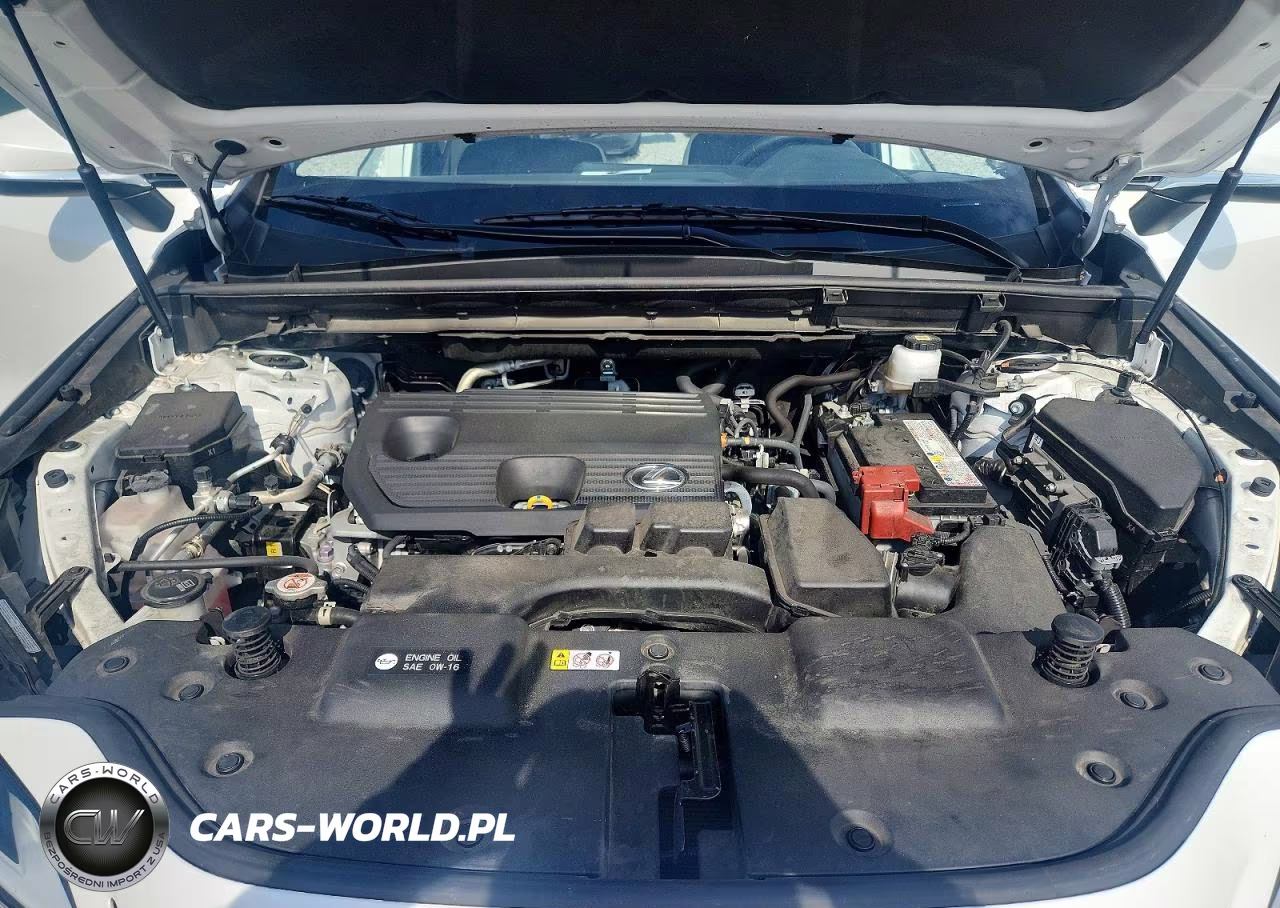 2024 Lexus Nx 250 Premium VIN:JTJGDCAZ0R5013569 - 12