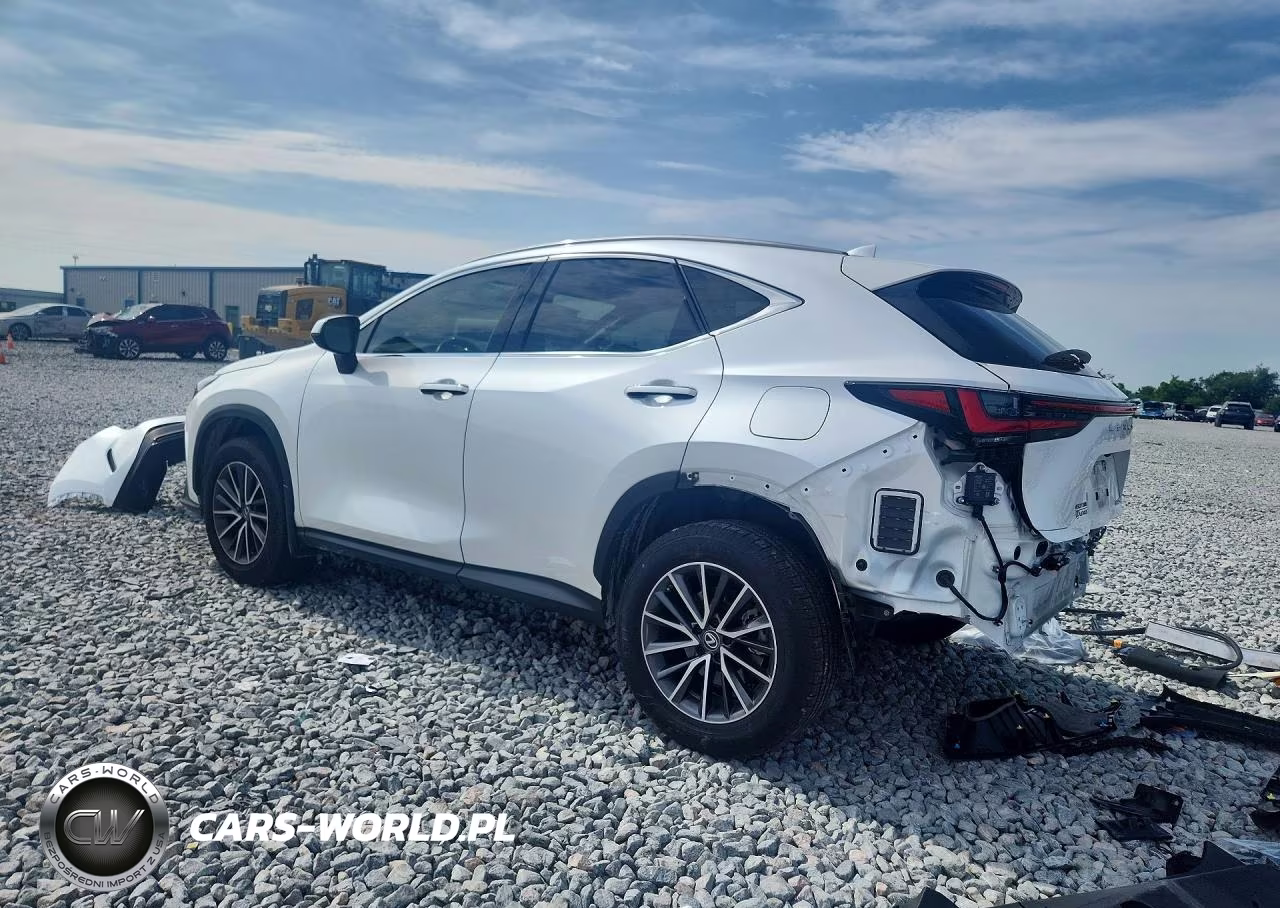 2024 Lexus Nx 250 Premium VIN:JTJGDCAZ0R5013569 - 2