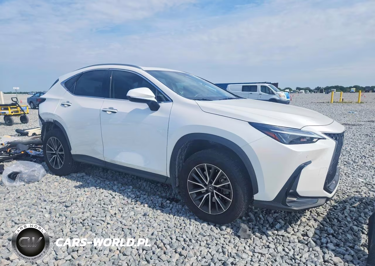 2024 Lexus Nx 250 Premium VIN:JTJGDCAZ0R5013569 - 4