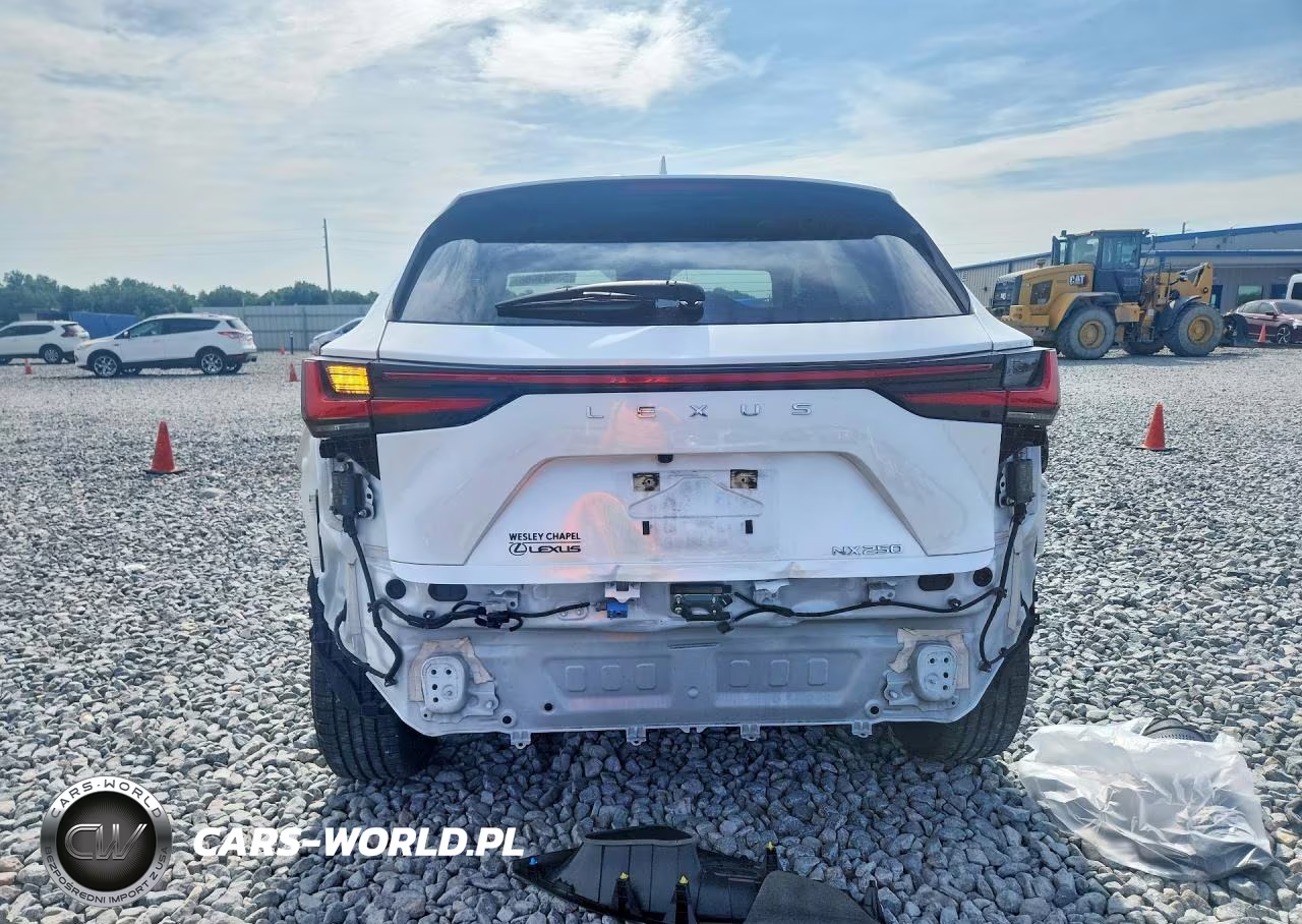 2024 Lexus Nx 250 Premium VIN:JTJGDCAZ0R5013569 - 6