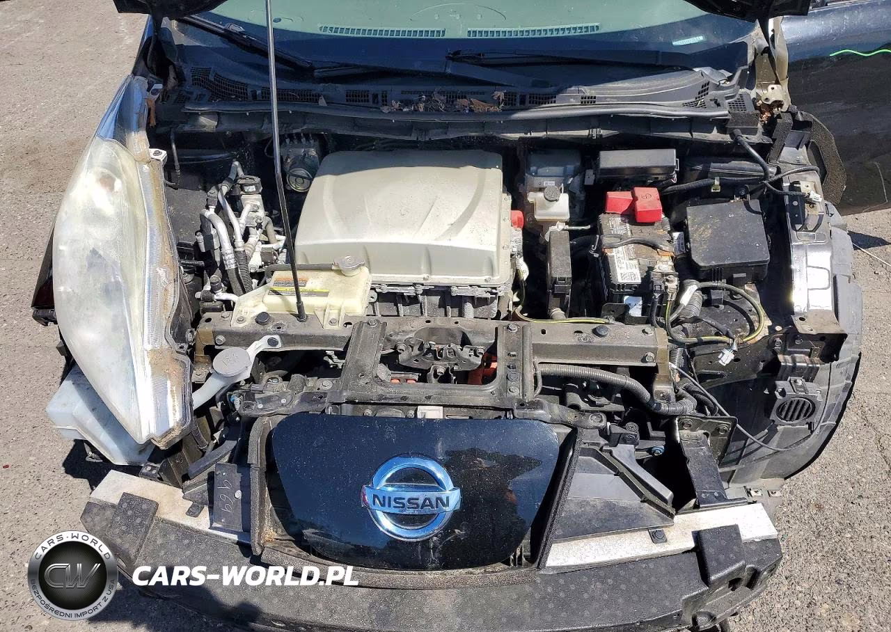 2016 Nissan Leaf Sv VIN:1N4BZ0CP2GC300273 - 11
