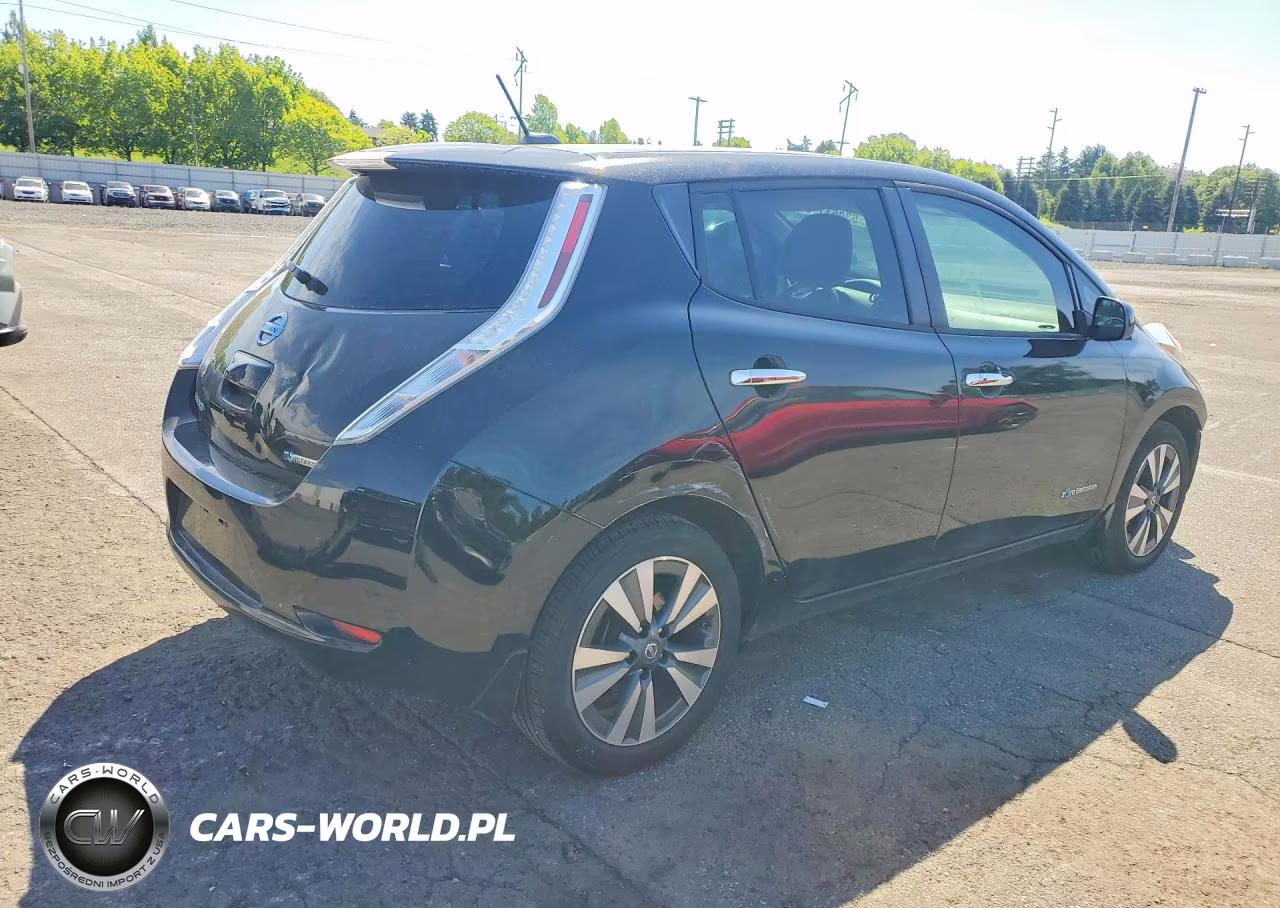 2016 Nissan Leaf Sv VIN:1N4BZ0CP2GC300273 - 3