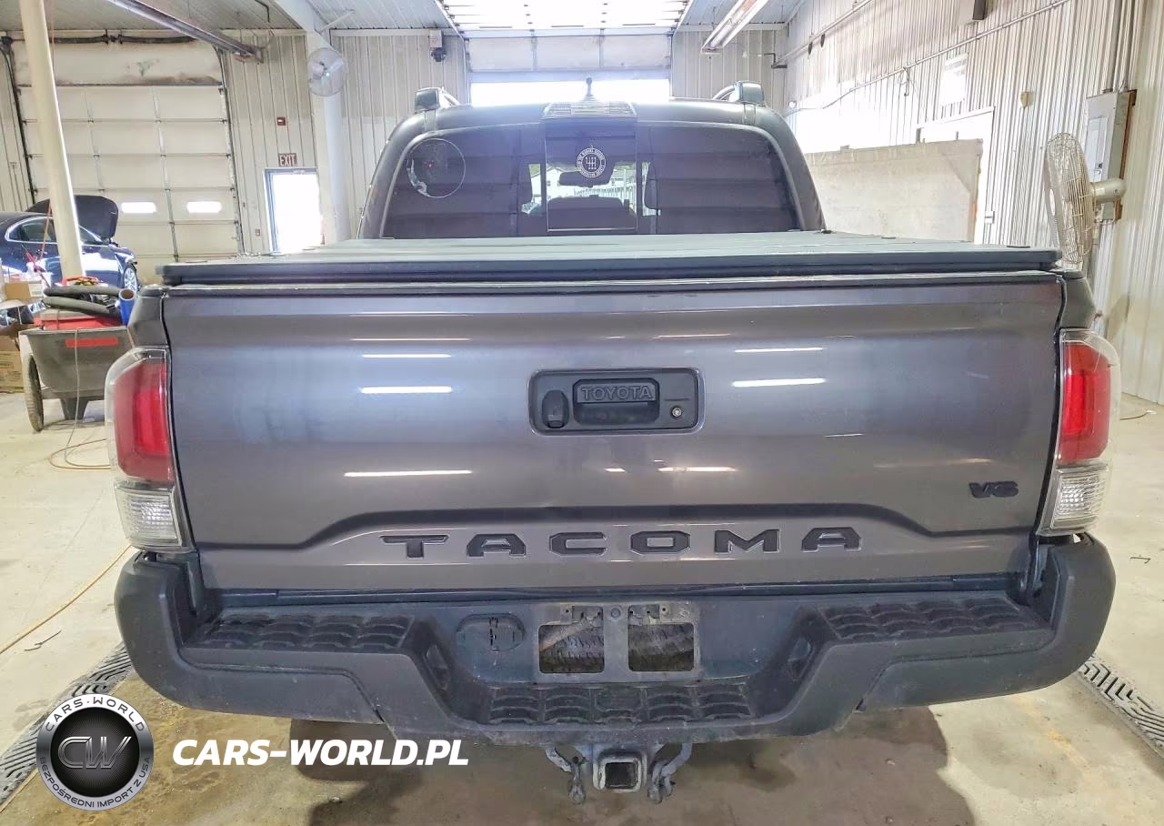 2020 Toyota Tacoma Trd Off-Road VIN:3TYCZ5AN3LT005046 - 6