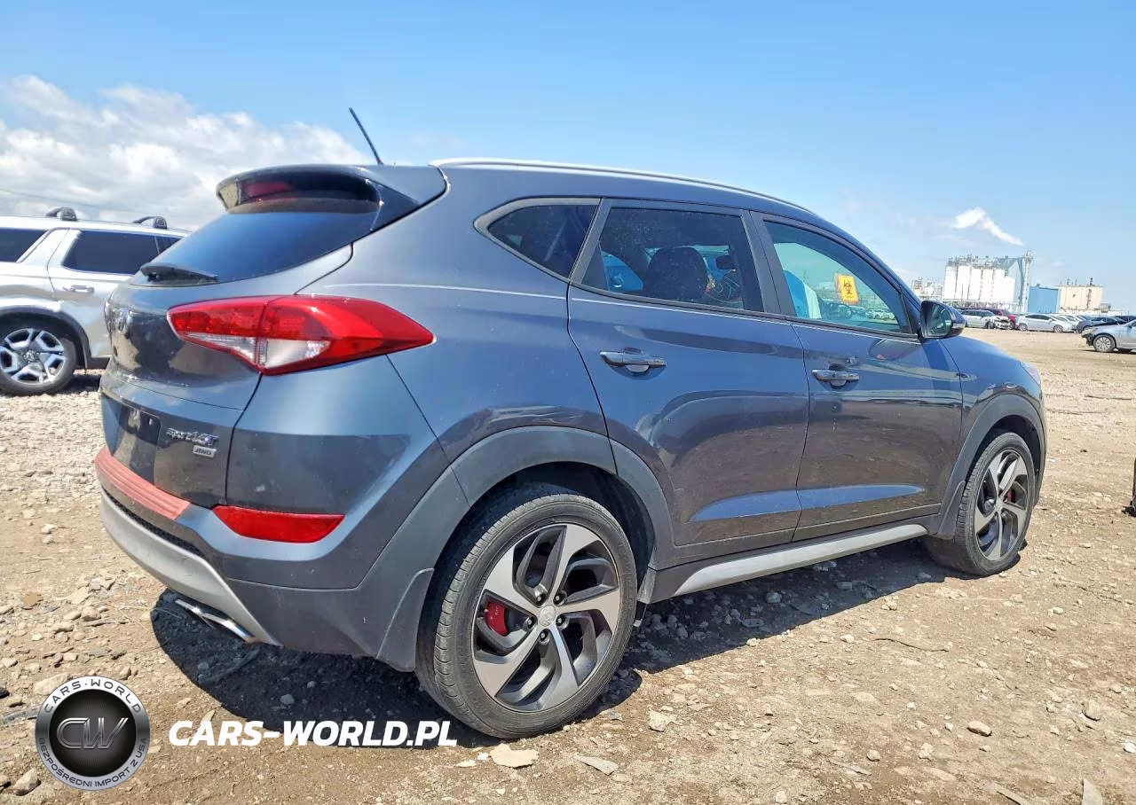 2017 Hyundai Tucson Sport VIN:KM8J3CA24HU390226 - 3