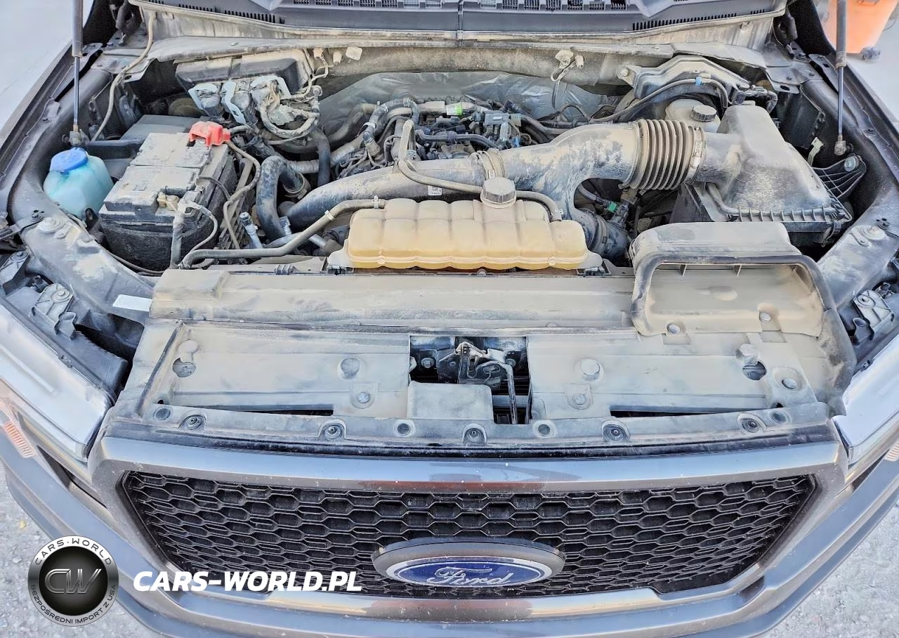 2020 Ford F150 Supercrew VIN:1FTEW1EP4LKE72517 - 11