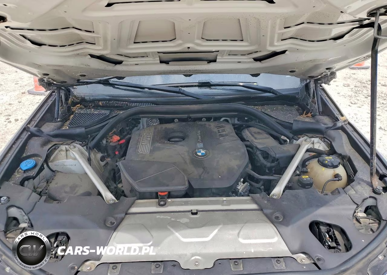 2019 BMW X3 Sdrive30I VIN:5UXTR7C58KLF32067 - 12