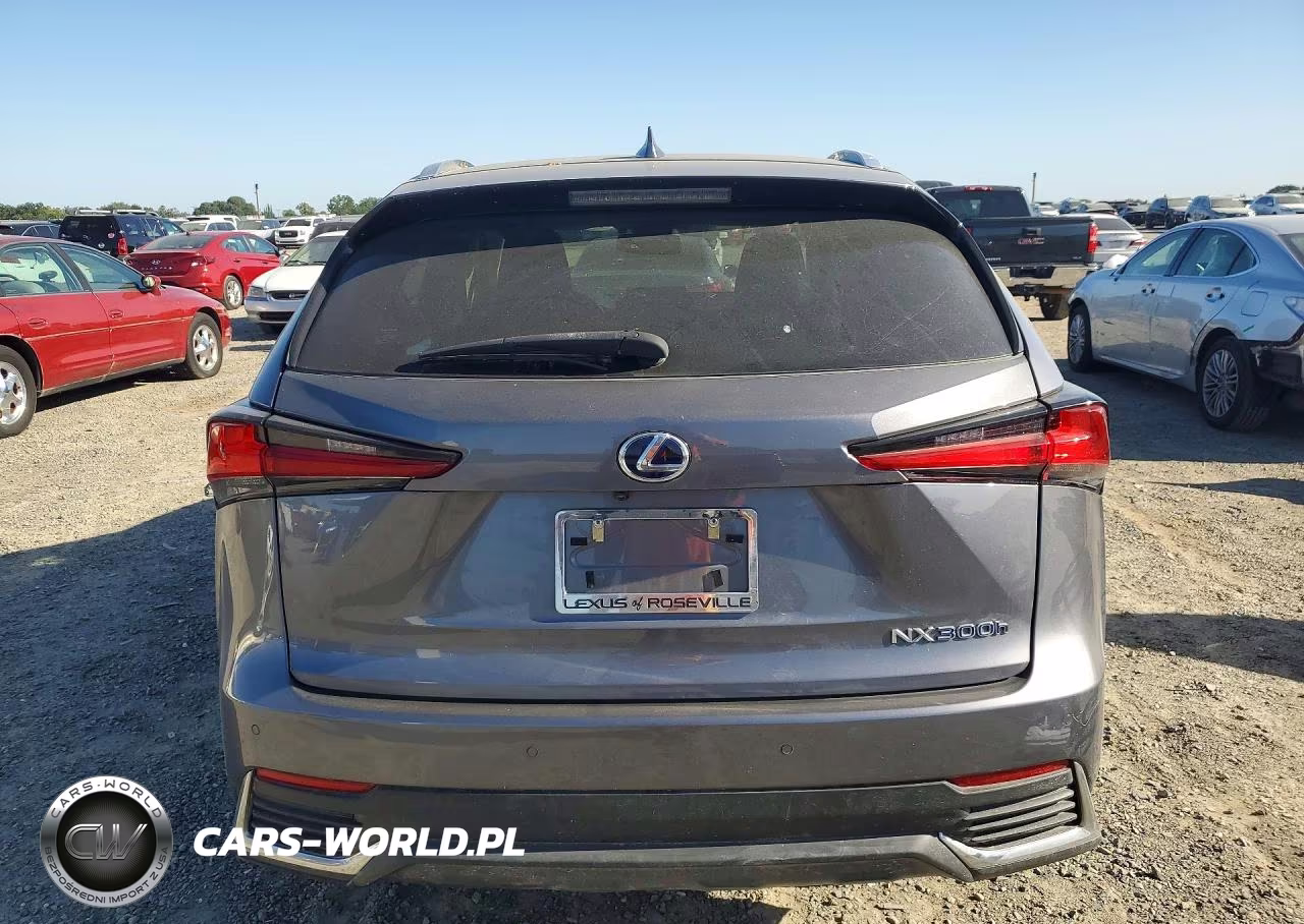 2021 Lexus Nx 300H Base VIN:JTJGJRDZ8M2149126 - 6