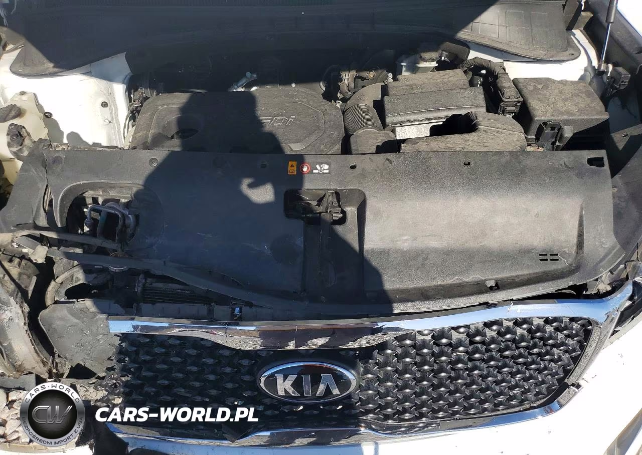 2016 Kia Sorento Lx VIN:5XYPG4A35GG043263 - 11