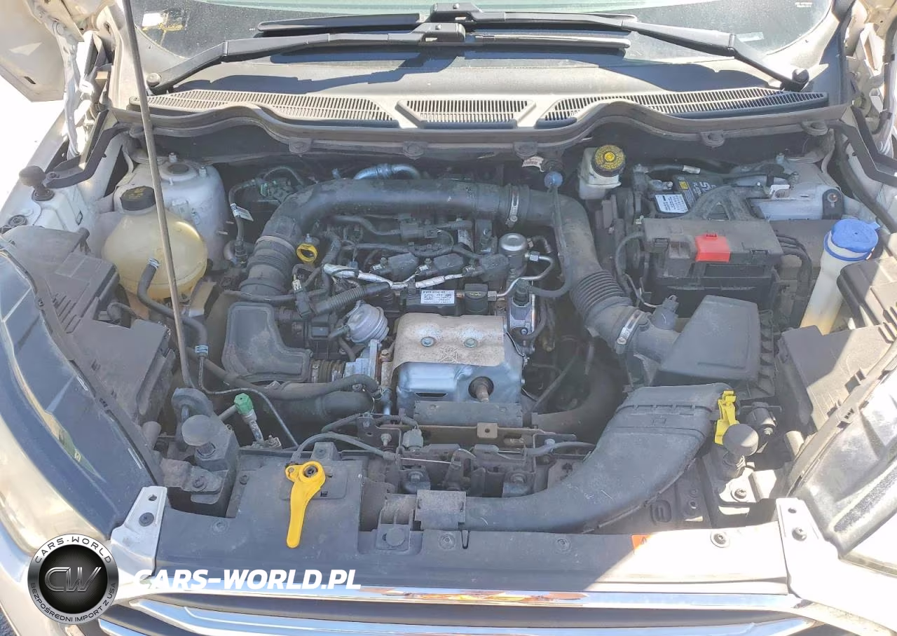 2018 Ford Ecosport Titanium VIN:MAJ3P1VE8JC164170 - 12
