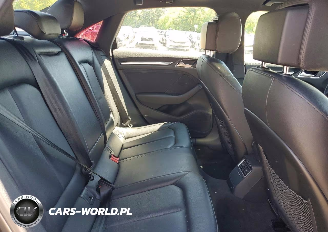 2017 Audi A3 Premium Plus VIN:WAUJ8GFF2H1008475 - 10