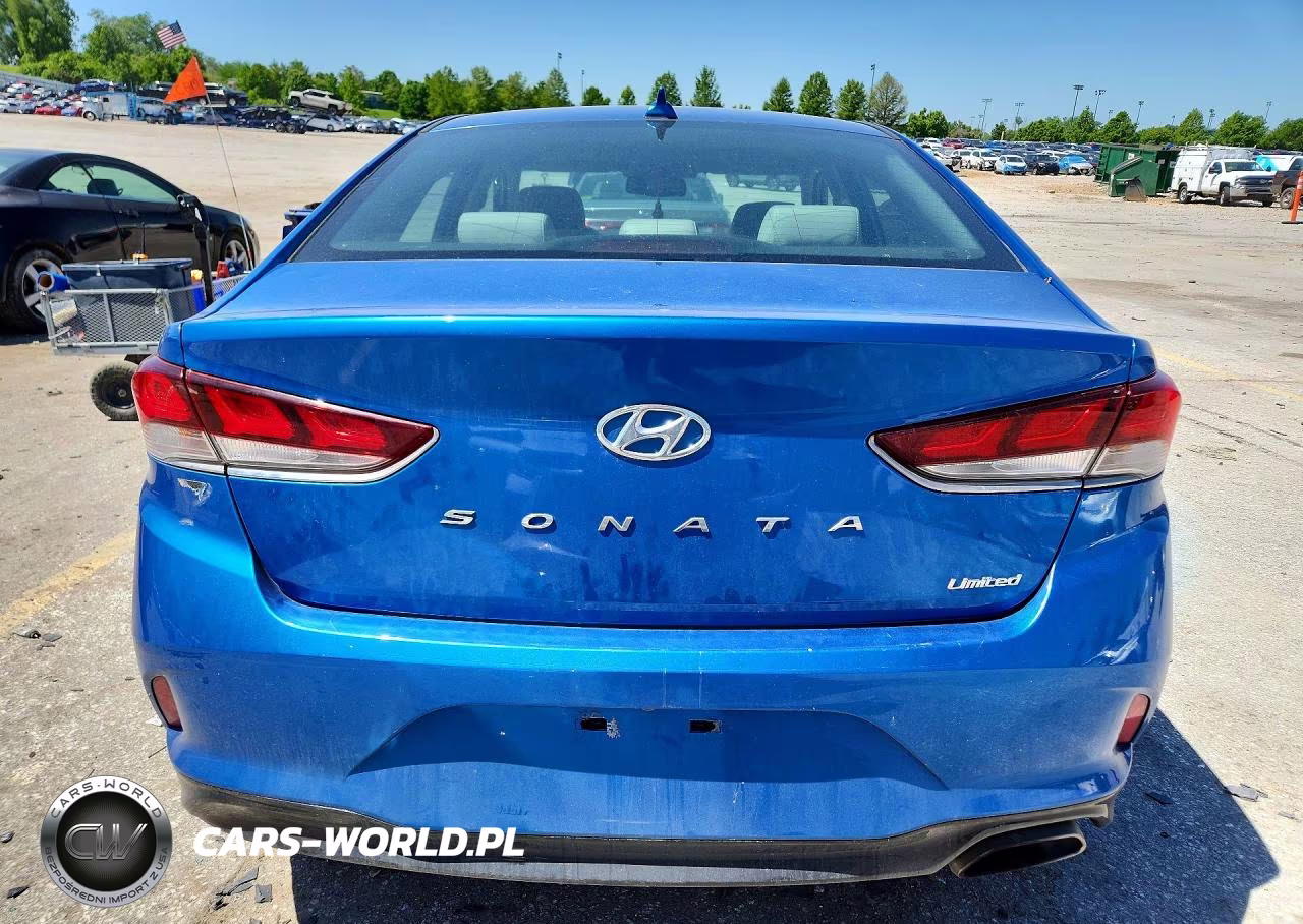 2018 Hyundai Sonata Limited VIN:5NPE34AFXJH691971 - 6
