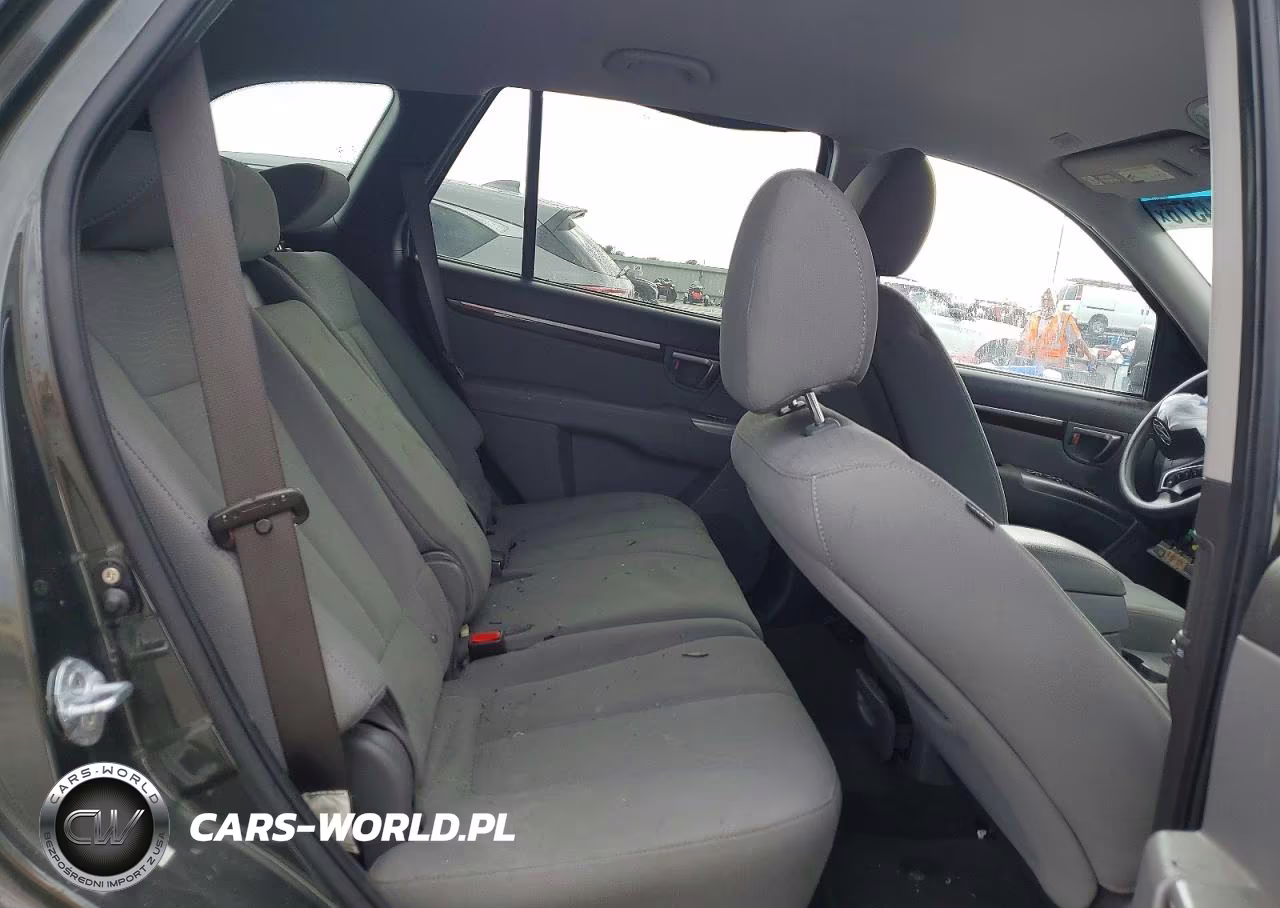 2010 Hyundai Santa Fe Gls VIN:5NMSG3ABXAH401496 - 11