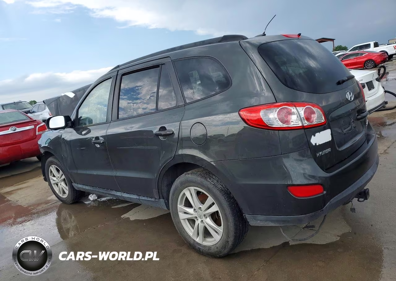 2010 Hyundai Santa Fe Gls VIN:5NMSG3ABXAH401496 - 2