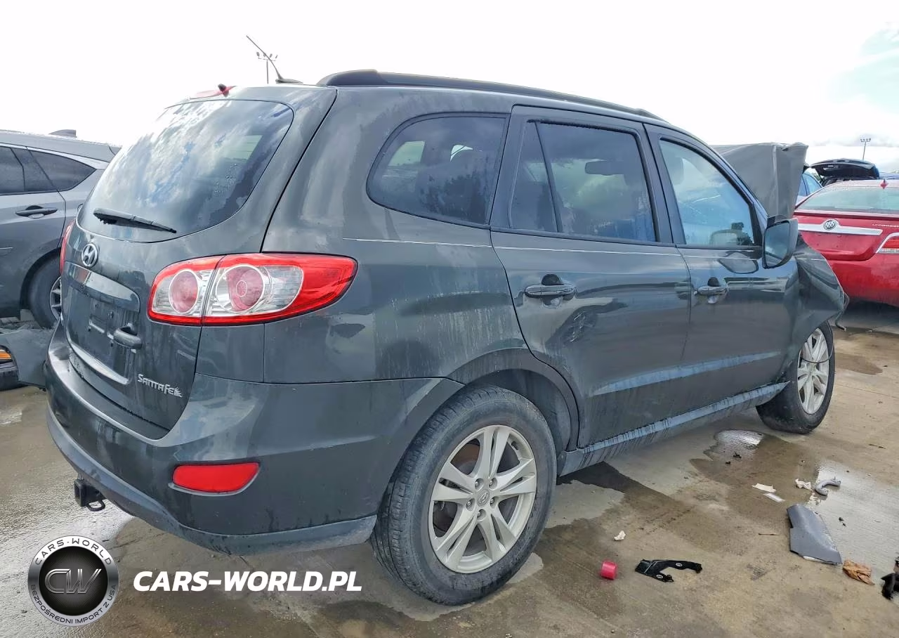 2010 Hyundai Santa Fe Gls VIN:5NMSG3ABXAH401496 - 3