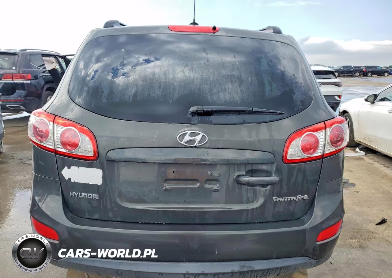 2010 Hyundai Santa Fe Gls VIN:5NMSG3ABXAH401496 - 6