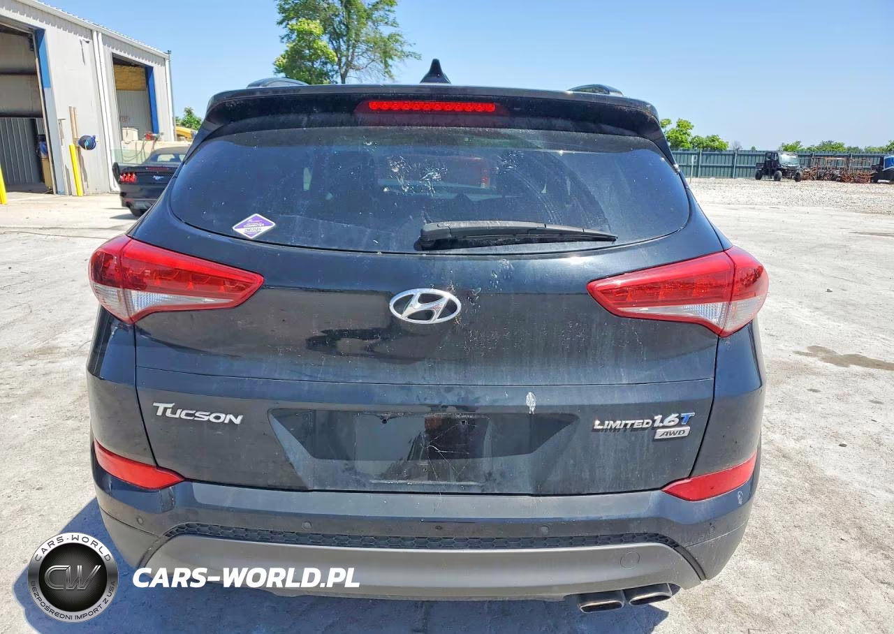 2016 Hyundai Tucson Limited VIN:KM8J3CA21GU095213 - 6