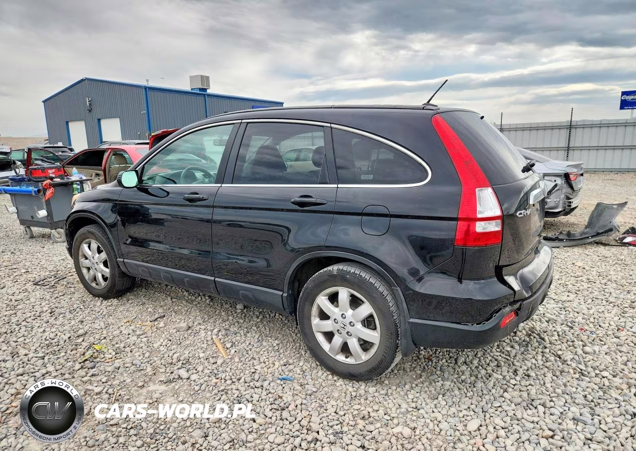2009 Honda Cr-V Exl VIN:JHLRE48789C012445 - 2