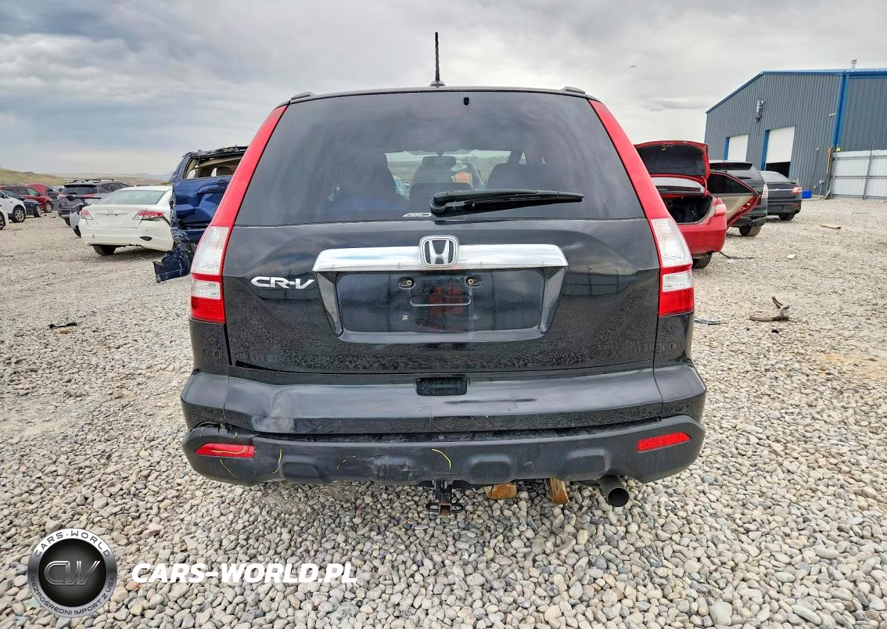 2009 Honda Cr-V Exl VIN:JHLRE48789C012445 - 6