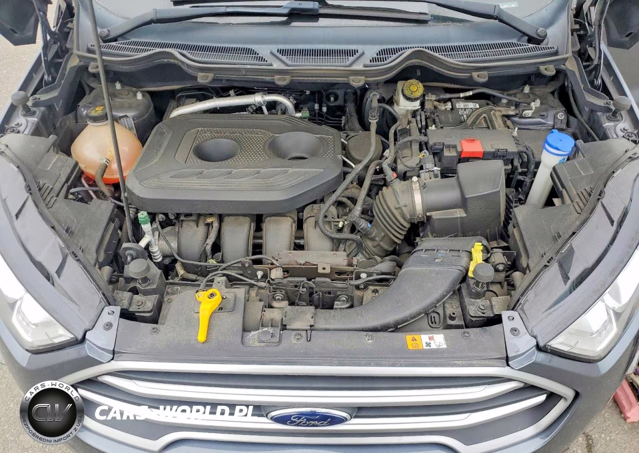 2022 Ford Ecosport Se VIN:MAJ6S3GL0NC462933 - 11