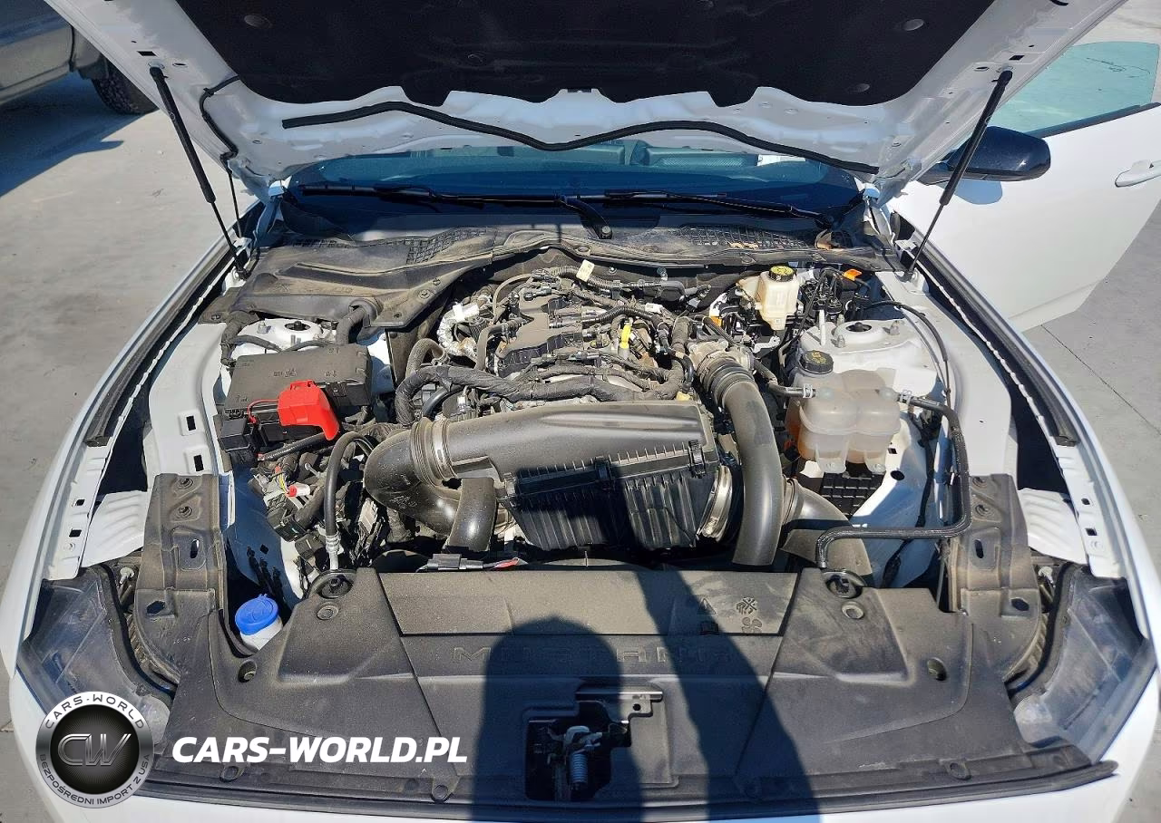 2025 Ford Mustang VIN:1FA6P8TH5S5113394 - 11