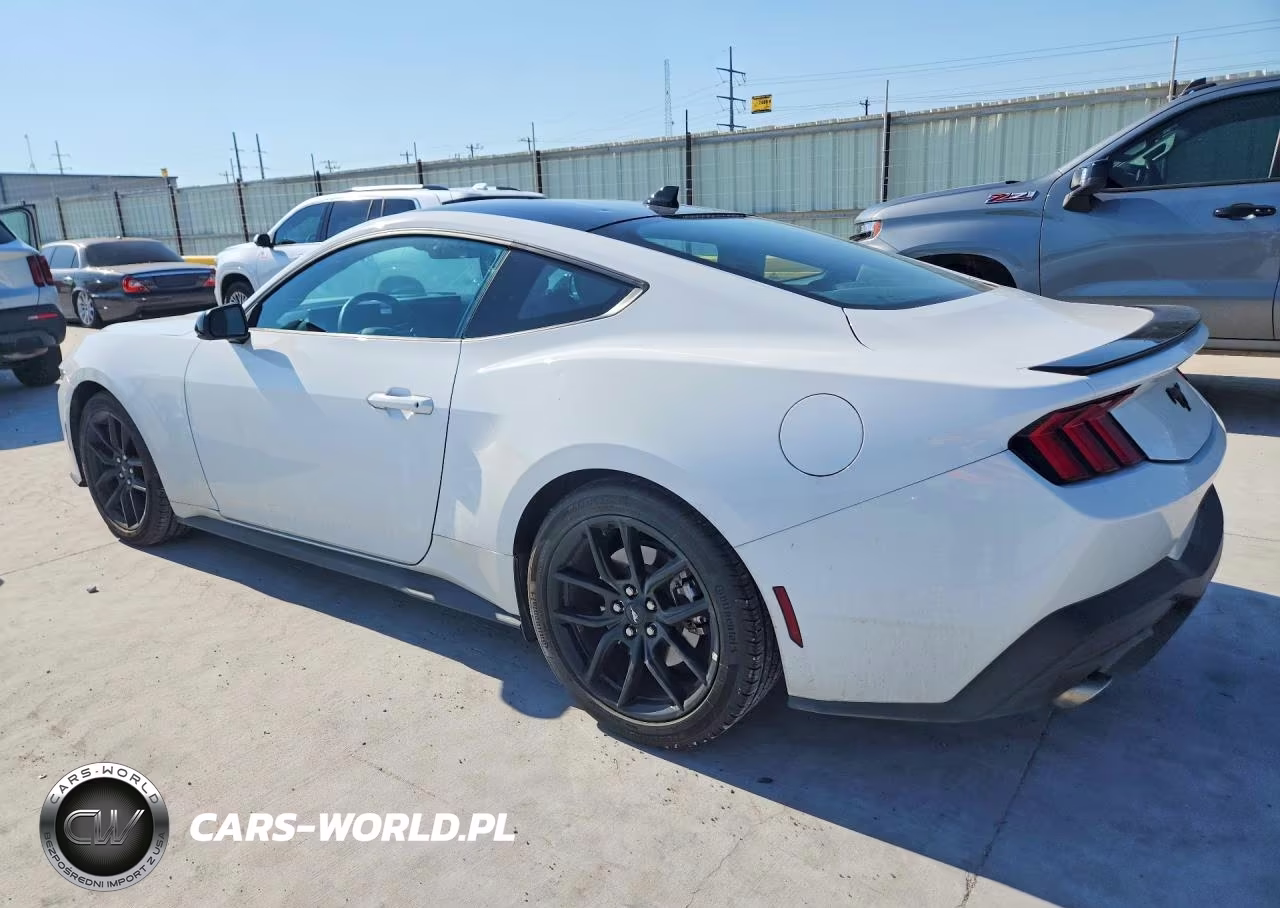 2025 Ford Mustang VIN:1FA6P8TH5S5113394 - 2