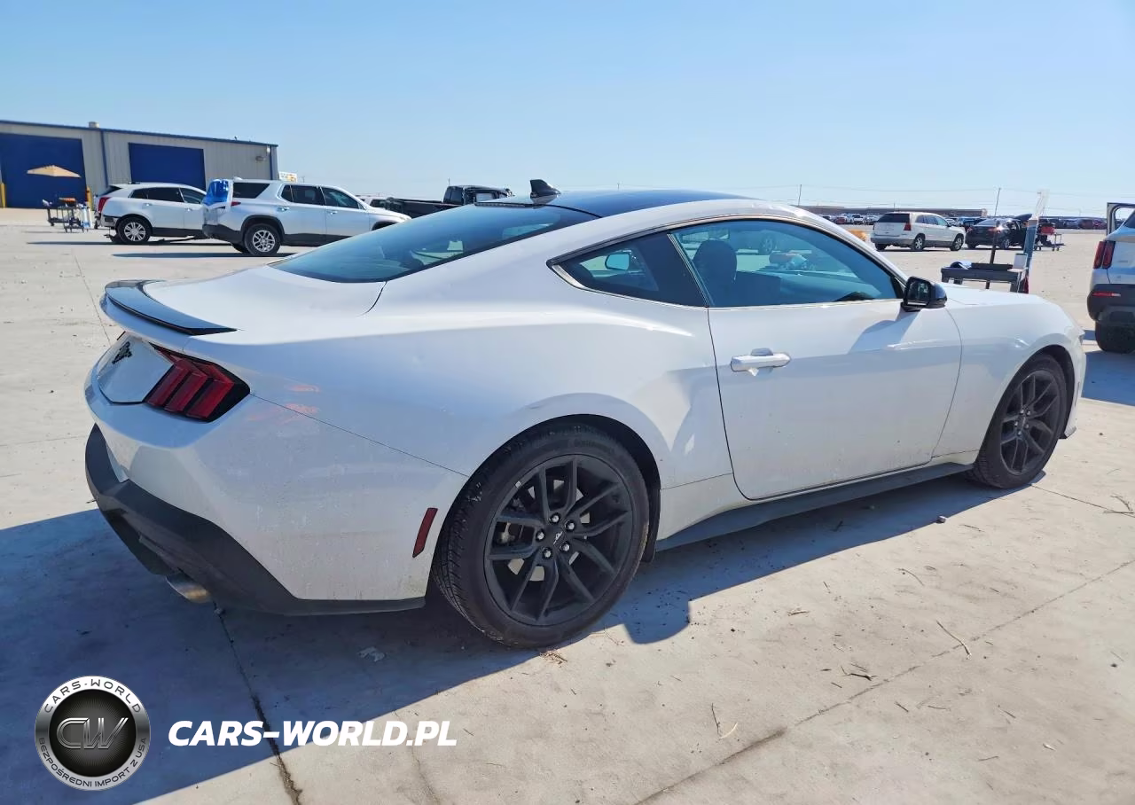 2025 Ford Mustang VIN:1FA6P8TH5S5113394 - 3