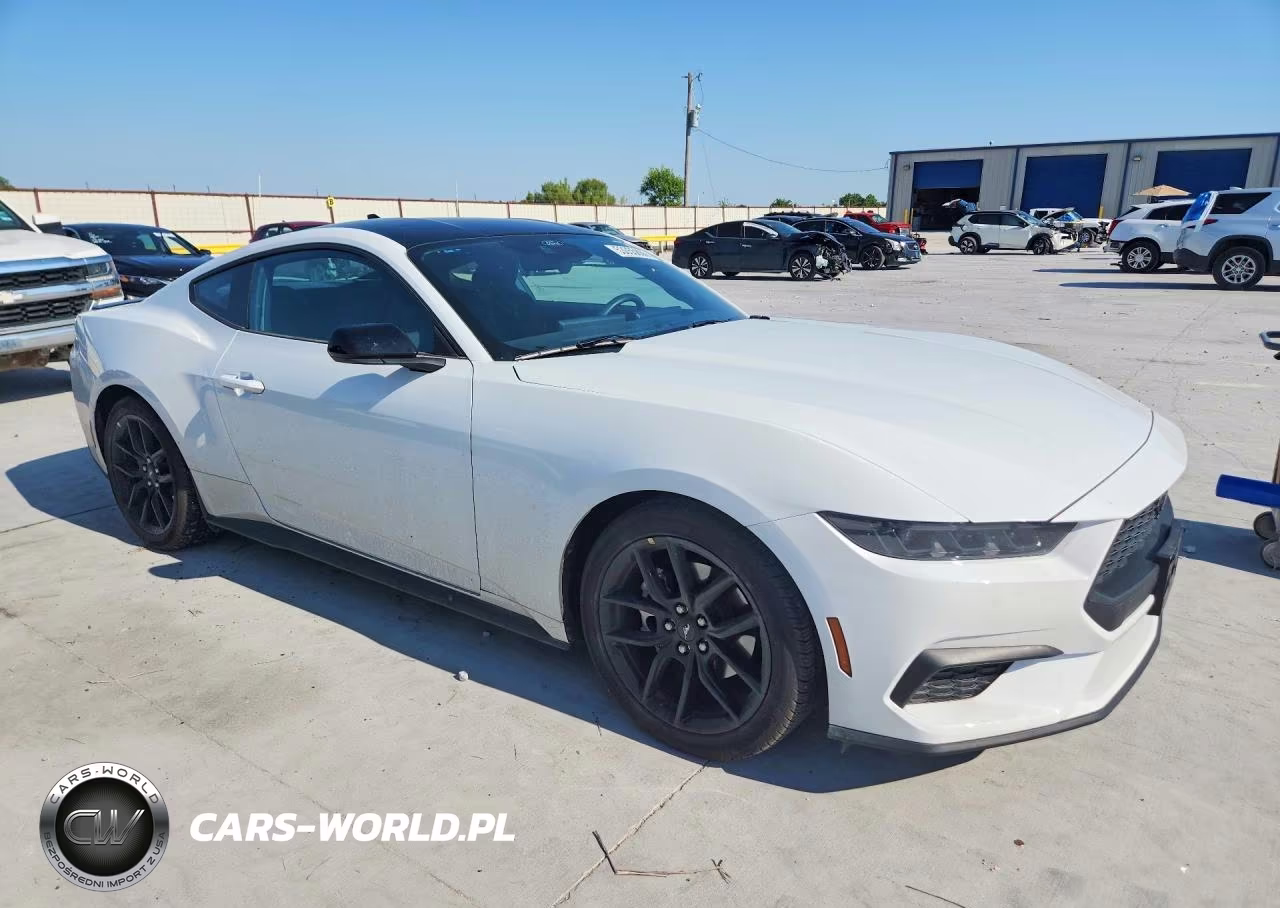 2025 Ford Mustang VIN:1FA6P8TH5S5113394 - 4