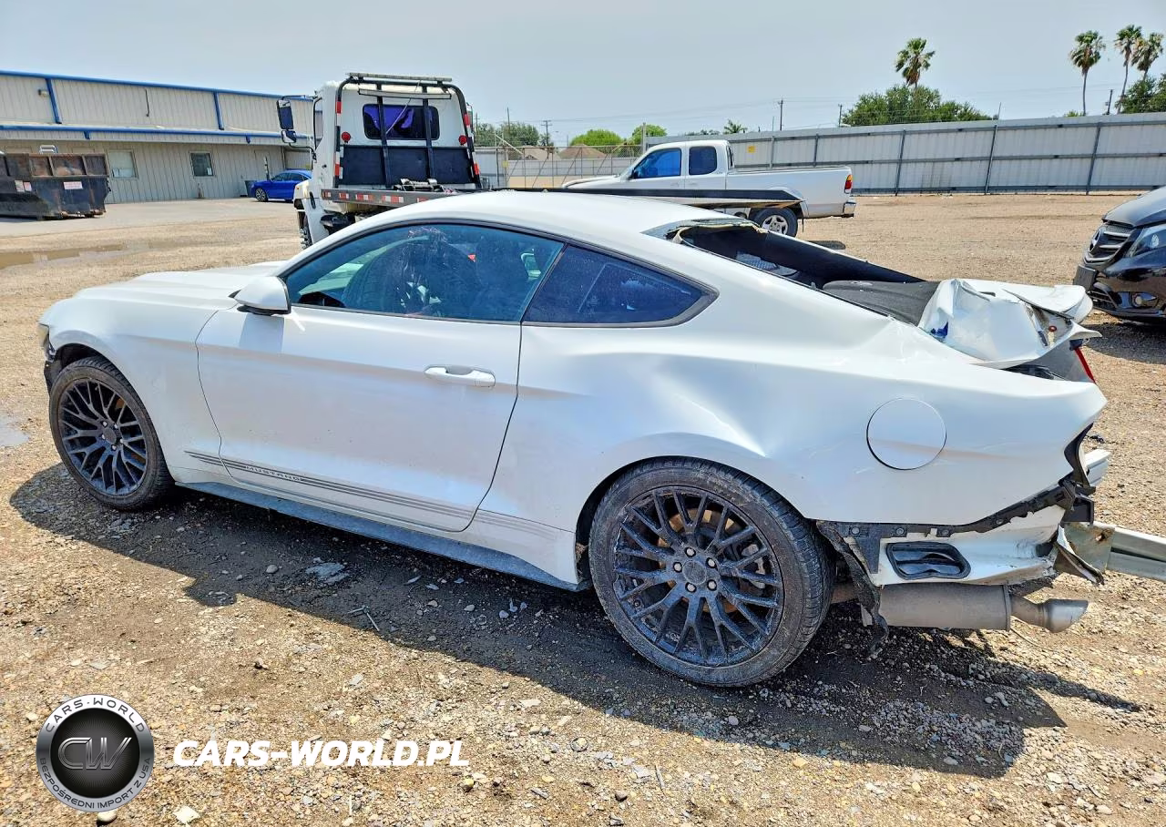 2017 Ford Mustang VIN:1FA6P8TH5H5226951 - 2