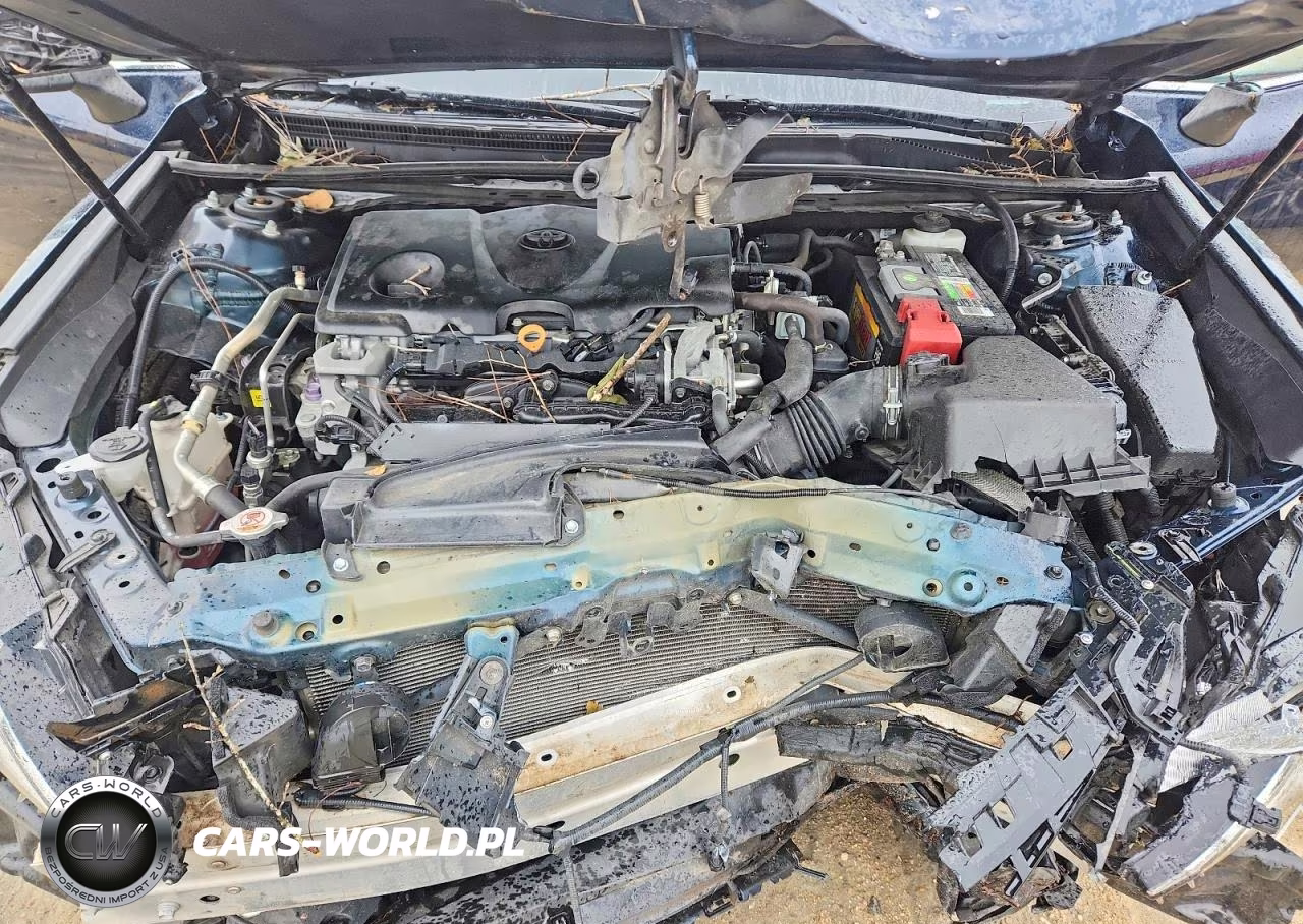 2019 Toyota Camry Se VIN:4T1B11HK9KU253634 - 11
