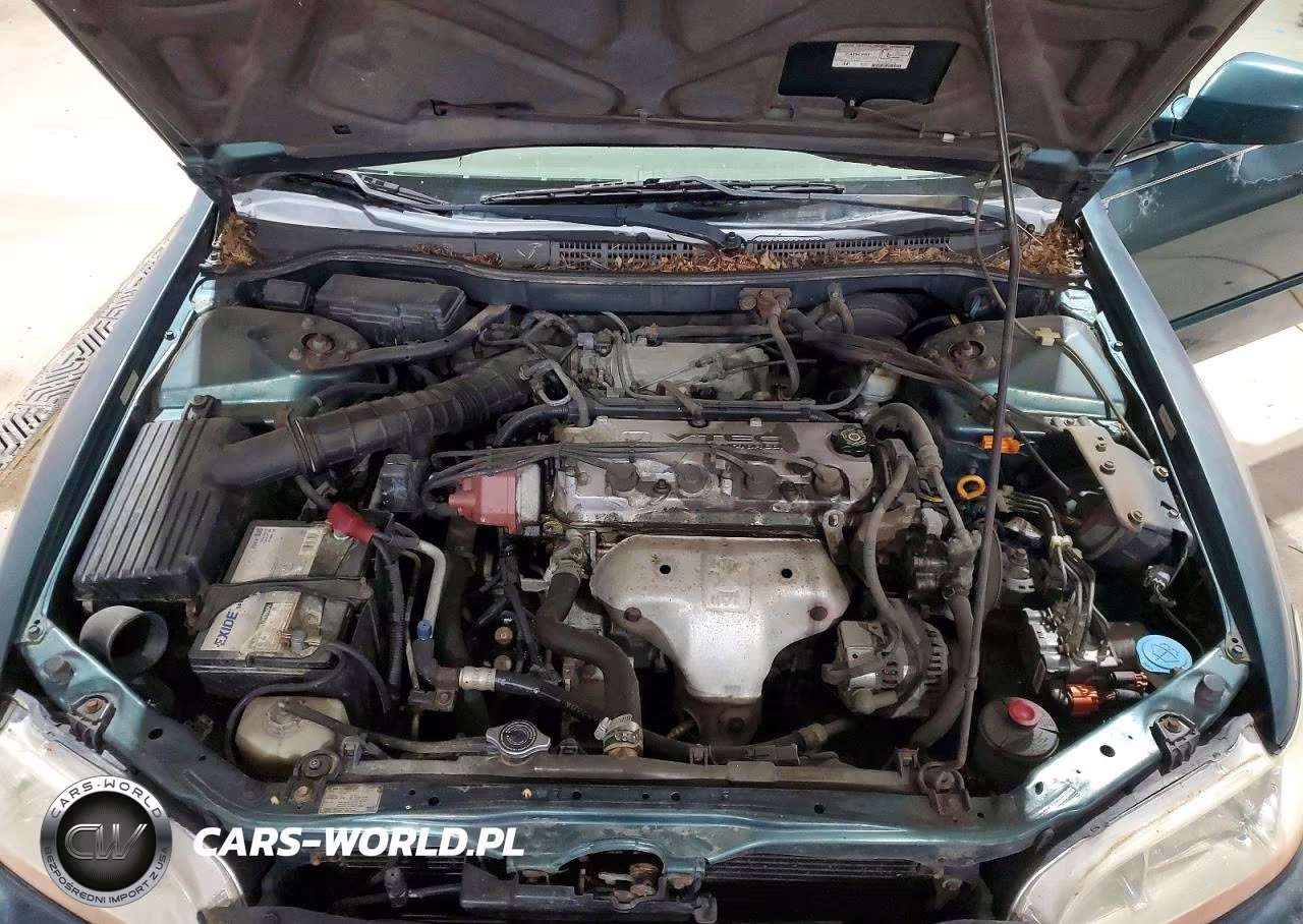2002 Honda Accord Ex VIN:1HGCG56682A026622 - 11