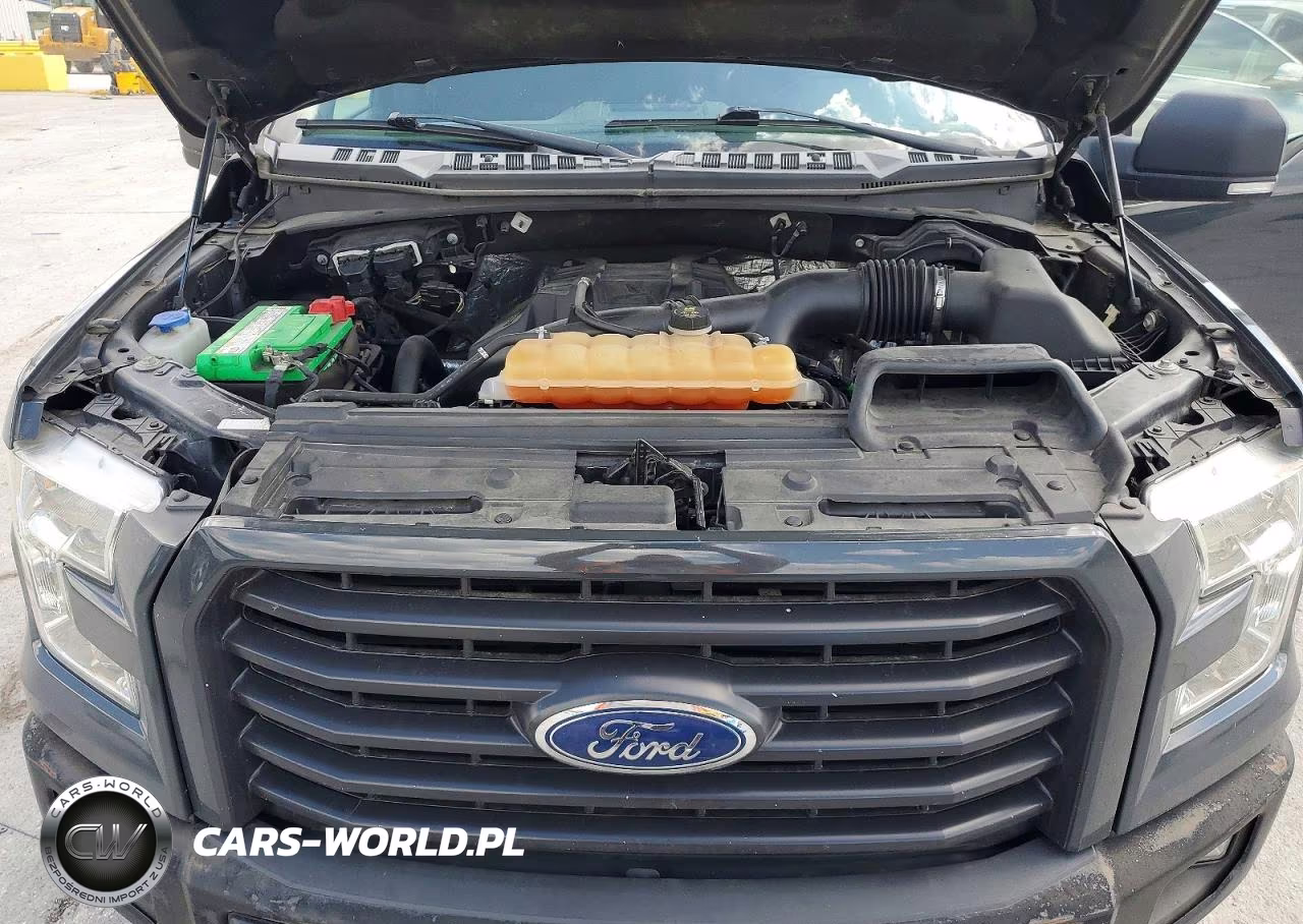2016 Ford F150 Supercrew VIN:1FTEW1EP6GKF01621 - 11