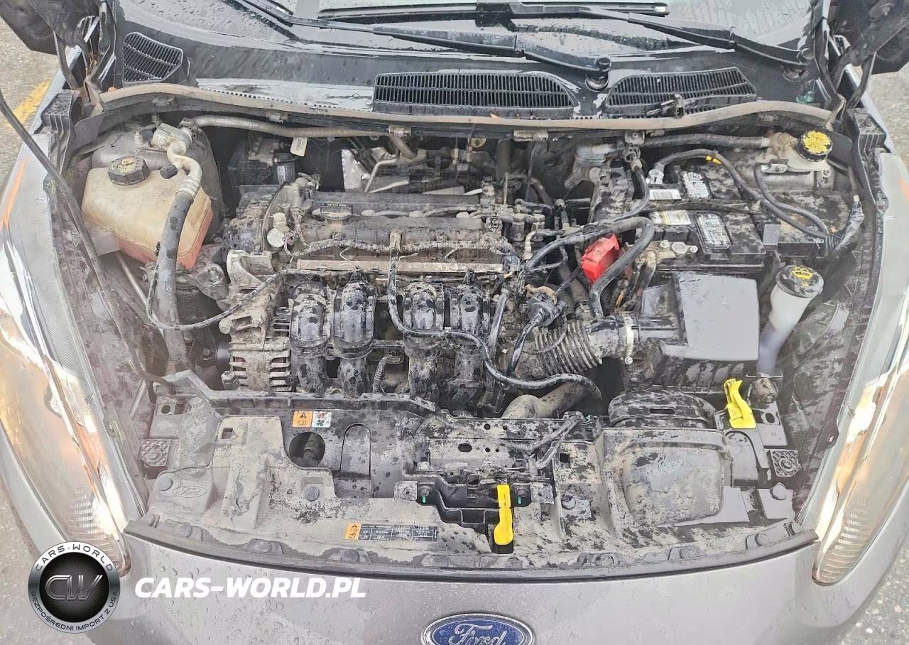 2014 Ford Fiesta Se VIN:3FADP4BJ4EM234677 - 11
