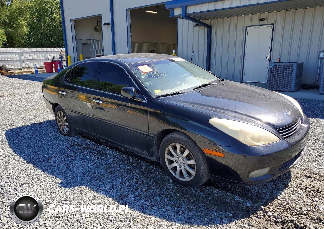 2004 Lexus Es 330 VIN:JTHBA30G045005565 - 4