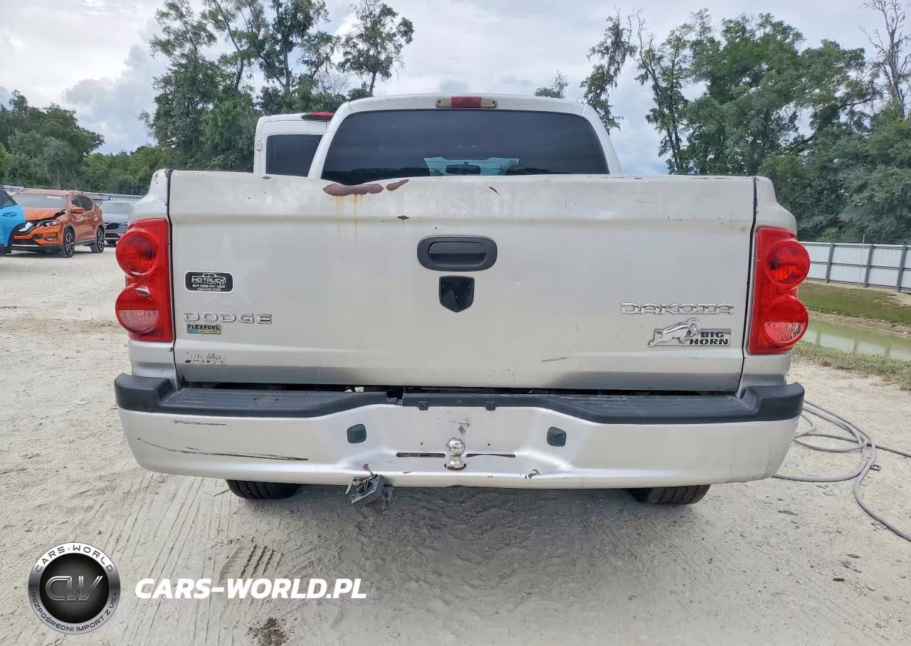 2011 Dodge Dakota Slt VIN:1D7RW3GP1BS679493 - 6