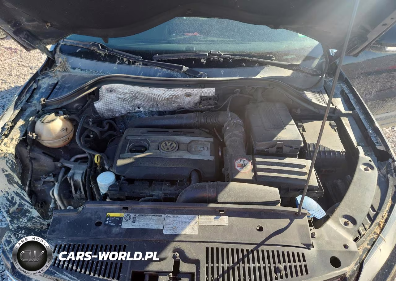 2014 Volkswagen Tiguan S VIN:WVGAV3AX9EW558660 - 12