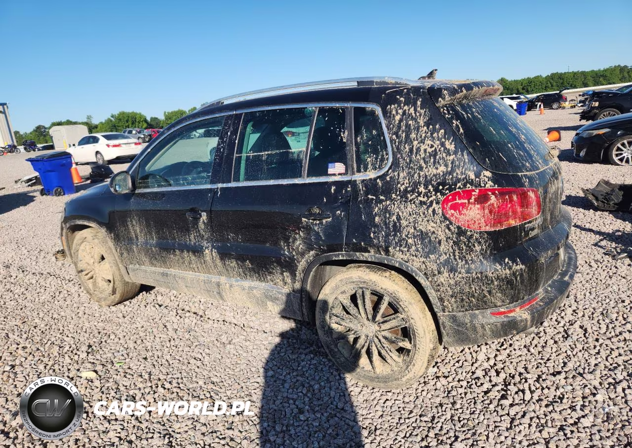 2014 Volkswagen Tiguan S VIN:WVGAV3AX9EW558660 - 2