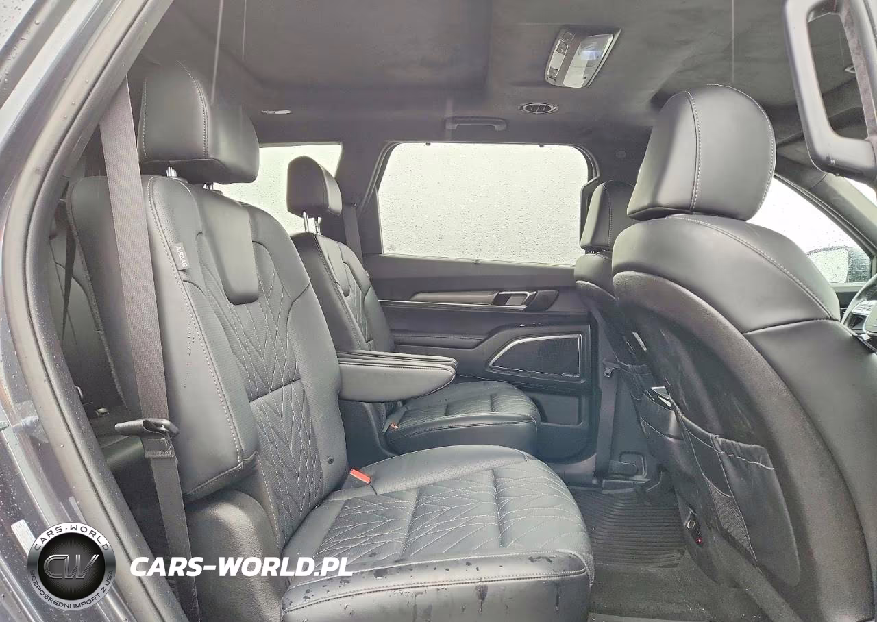 2024 Kia Telluride Sx-Prestige X-Line VIN:5XYP5DGC8RG532806 - 11