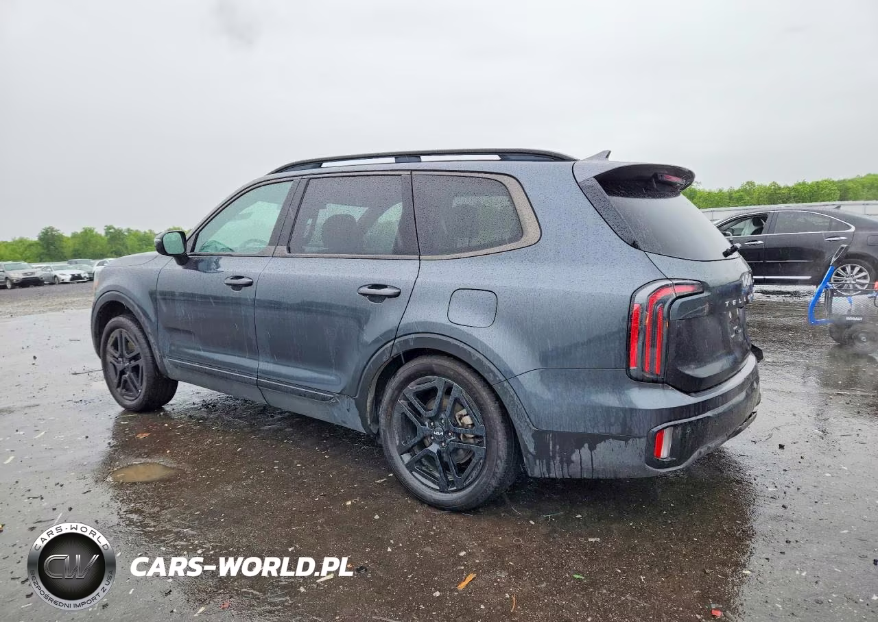 2024 Kia Telluride Sx-Prestige X-Line VIN:5XYP5DGC8RG532806 - 2