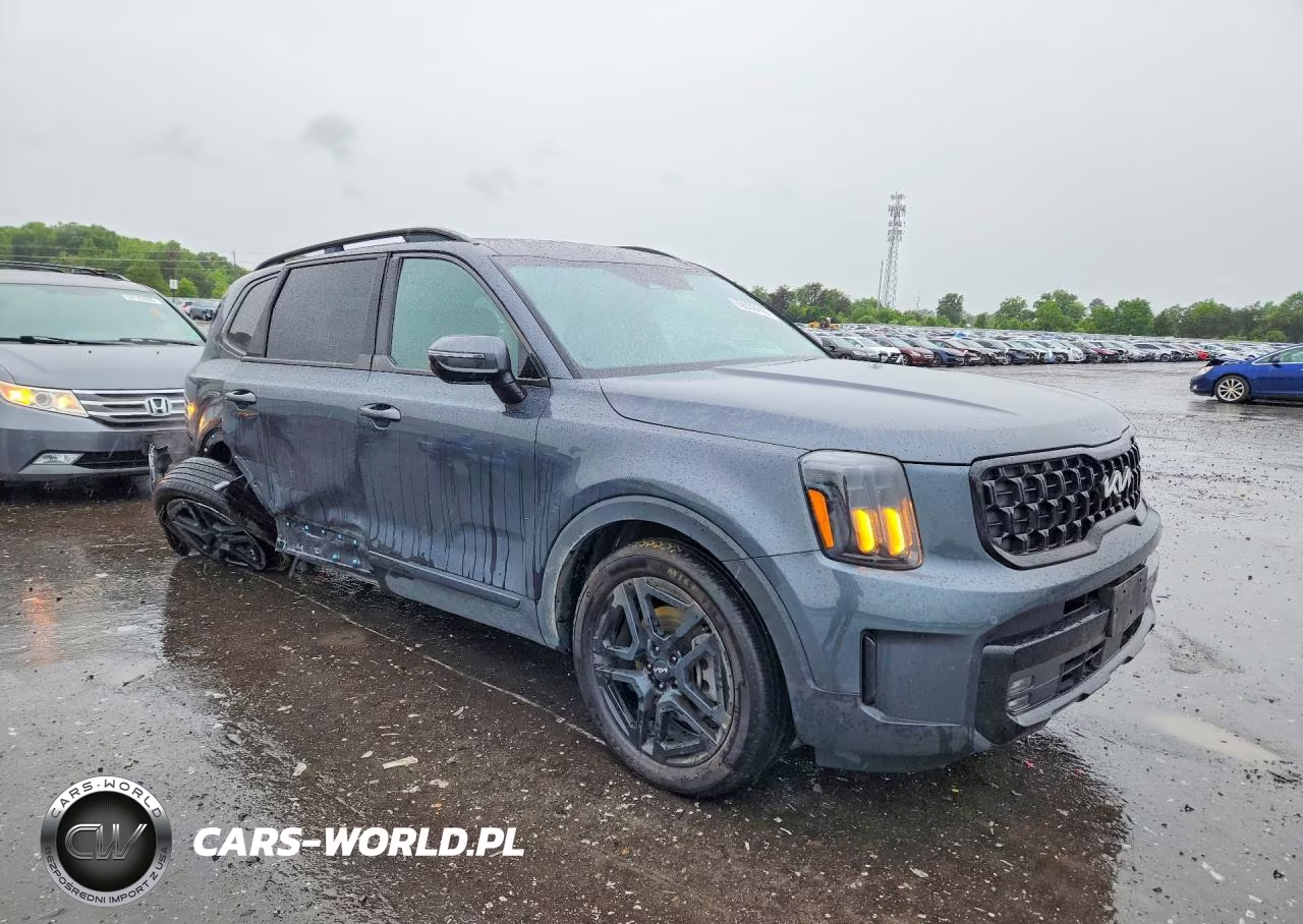 2024 Kia Telluride Sx-Prestige X-Line VIN:5XYP5DGC8RG532806 - 4