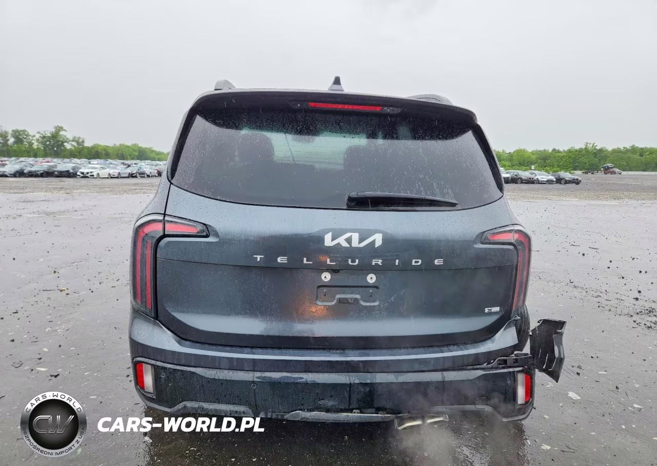 2024 Kia Telluride Sx-Prestige X-Line VIN:5XYP5DGC8RG532806 - 6